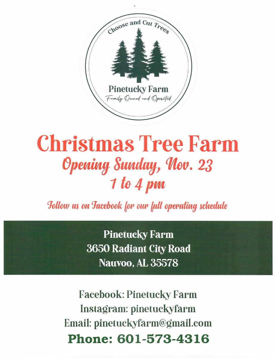 Christmas tree farm